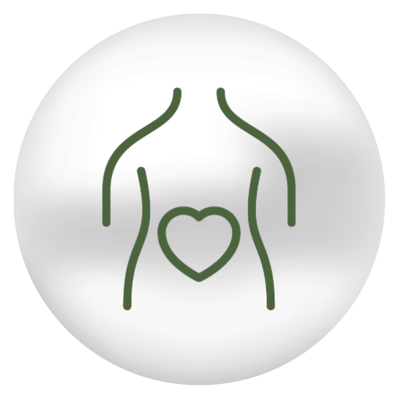 Improve digestion icon