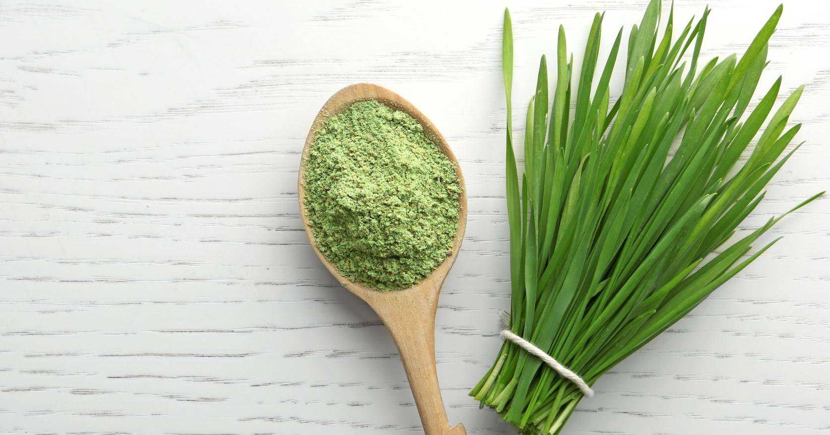 Wheatgrass Powder Color Is Wheat Grass Powder Gluten Free | Brightcore - Brightcore Nutrition