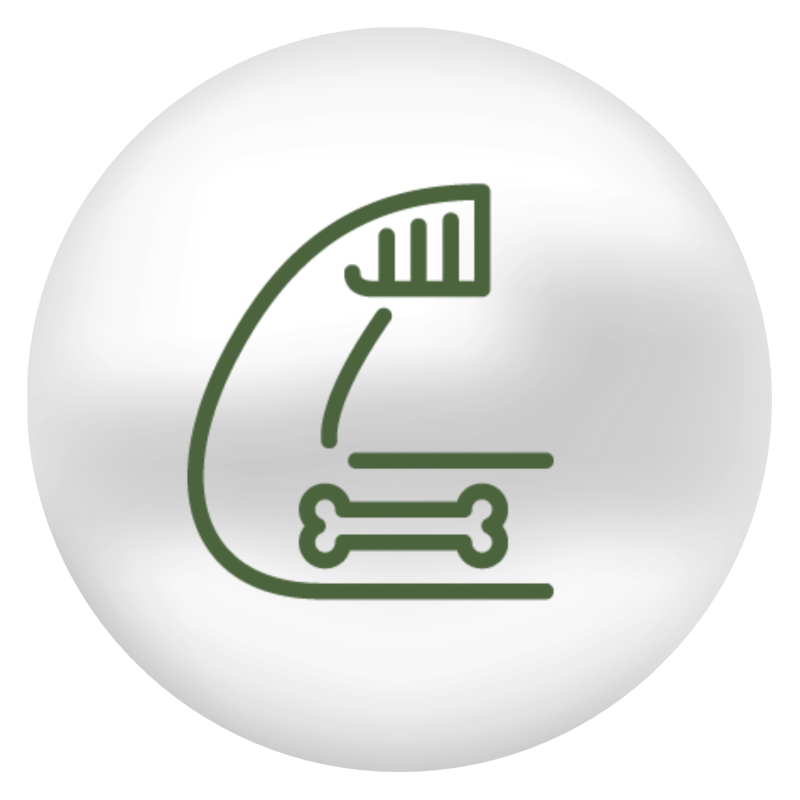 Preserves bone health icon